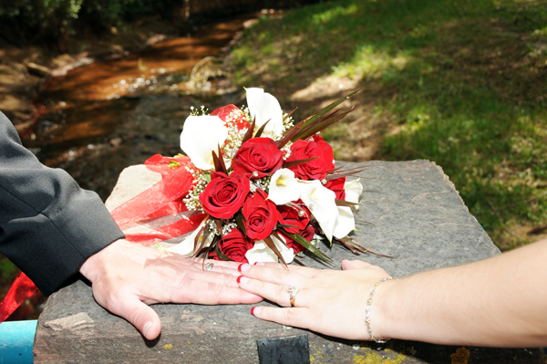 A Pikes Peak Wedding at Blue Skies Inn, Manitou Springs, Colorado