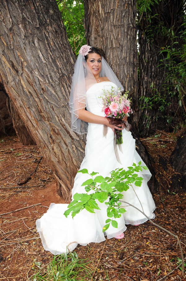 A Pikes Peak Wedding at Blue Skies Inn, Manitou Springs, Colorado