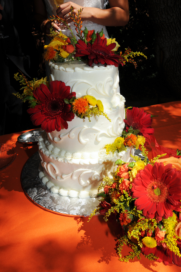 A Pikes Peak Wedding at Blue Skies Inn, Manitou Springs, Colorado