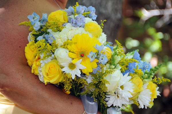 A Pikes Peak Wedding at Blue Skies Inn, Manitou Springs, Colorado