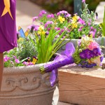 Spring Wedding at Pikes Peak Weddings, Manitou Springs, Colorado