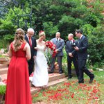 Summer Wedding an Outdoor Pikes Peak Wedding, Manitou Springs, Colorado