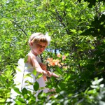 Spring Wedding an Outdoor Pikes Peak Wedding, Manitou Springs, Colorado