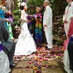 Summer Wedding an Outdoor Pikes Peak Wedding, Manitou Springs, Colorado