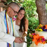 Summer Wedding an Outdoor Pikes Peak Wedding, Manitou Springs, Colorado