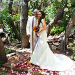 Summer Wedding an Outdoor Pikes Peak Wedding, Manitou Springs, Colorado