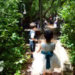 Summer Wedding an Outdoor Pikes Peak Wedding, Manitou Springs, Colorado