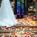 Summer Wedding an Outdoor Pikes Peak Wedding, Manitou Springs, Colorado