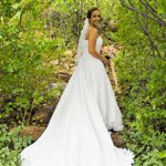 Summer Wedding an Outdoor Pikes Peak Wedding, Manitou Springs, Colorado