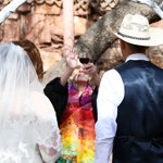 Winter Wedding an Outdoor Pikes Peak Wedding, Manitou Springs, Colorado