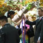 Spring Wedding an Outdoor Pikes Peak Wedding, Manitou Springs, Colorado