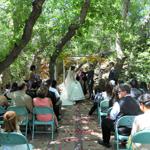 Spring Wedding an Outdoor Pikes Peak Wedding, Manitou Springs, Colorado