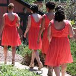 Summer Wedding an Outdoor Pikes Peak Wedding, Manitou Springs, Colorado