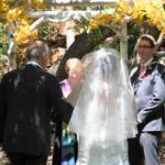 Summer Wedding an Outdoor Pikes Peak Wedding, Manitou Springs, Colorado
