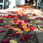 Summer Wedding an Outdoor Pikes Peak Wedding, Manitou Springs, Colorado