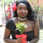 Summer Wedding an Outdoor Pikes Peak Wedding, Manitou Springs, Colorado