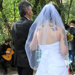 Summer Wedding an Outdoor Pikes Peak Wedding, Manitou Springs, Colorado
