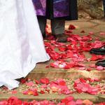 Summer Wedding an Outdoor Pikes Peak Wedding, Manitou Springs, Colorado